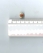 Royaume-Uni, OPEX en ULSTER,  Groupes cynophiles, maitre de chien North. Ireland