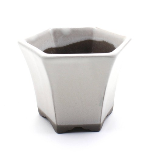 Seto ware white - seto,
