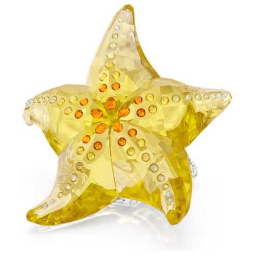 Swarovski étoile mer scs - swarovski, de