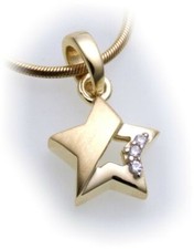 Pendentif Étoile Zircone