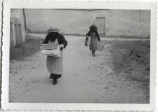 PHOTO ANCIENNE - VINTAGE SNAPSHOT - APICULTURE RUCHE MIEL - HIVE HONEY 1951 2