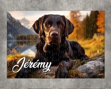 Puzzle Chien labrador chocolat