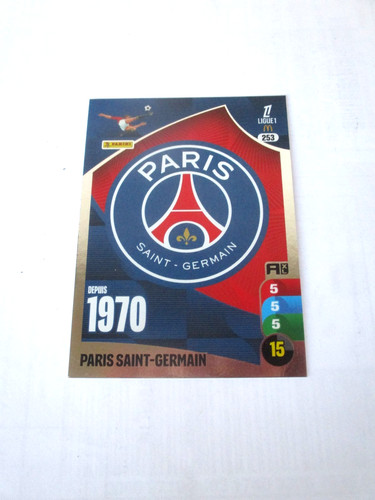 Ecusson logo psg - ecusson,