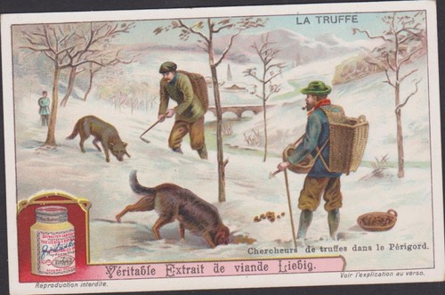 Chromo ancien publicitaire - ancien,