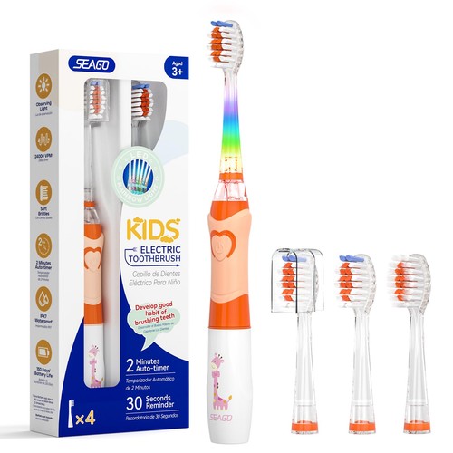 Brosse dents électrique - brosse,