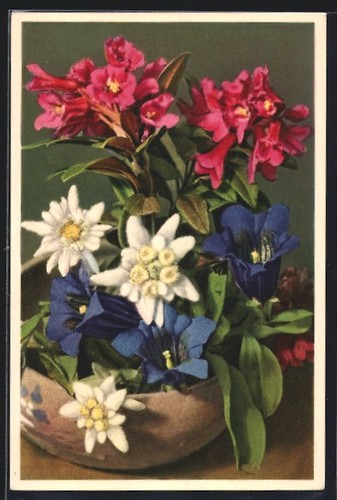 Carte postale photo emanuel - carte,