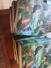 collection atlas les oiseaux de france