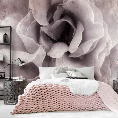 Rose papier peint - rose,
