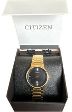 Citizen Men's GN-4-S 11  W.R