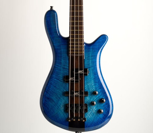 Warwick custom shop - warwick, master