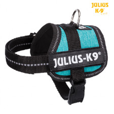 JULIUS K9 Harnais IDC Power BLEU OCEAN TAILLE BABY 1 pour bébé chien