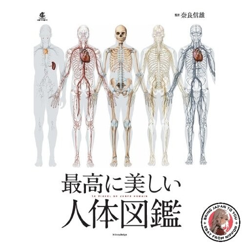 Plus bel atlas anatomie - plus,