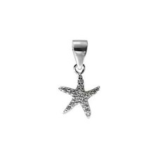 Zircon Étoile Pendentif