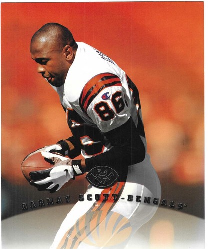Darnay scott 1997 leaf - 1997,