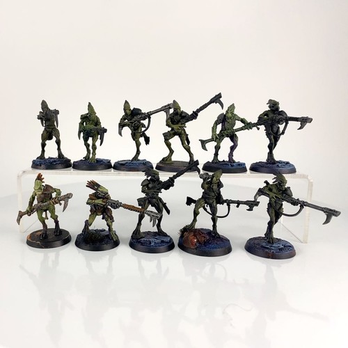 X11 carnivores kroots - x11,