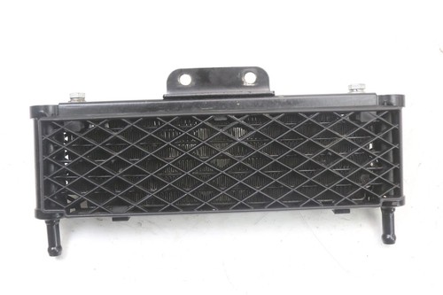 Radiateur huile rsr dirt - radiateur,