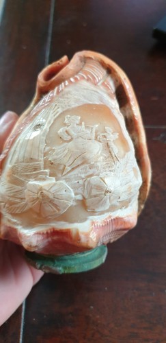 Lampe coquillage camee - coquillage,