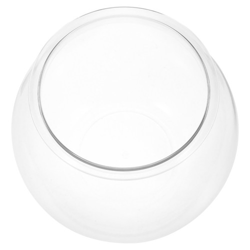 Globe fish tank - fish, clear