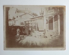 Scène cour femme poules