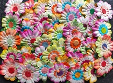 lot de 50 magnifiques fleurs