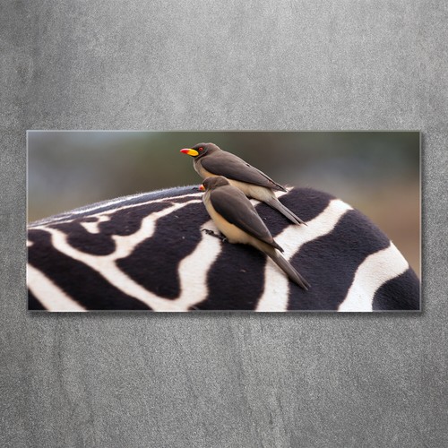 Tulup image sur - tulup, verre