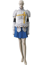 Anime costumee Fairy Tail Erza