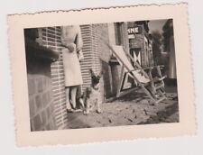 ? Photo ancienne ?️ Chien assis ? Transat & mur en briques ? Années 40 ?️