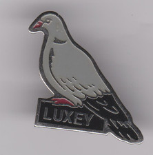 Pin's Palombe - Pigeon ramier