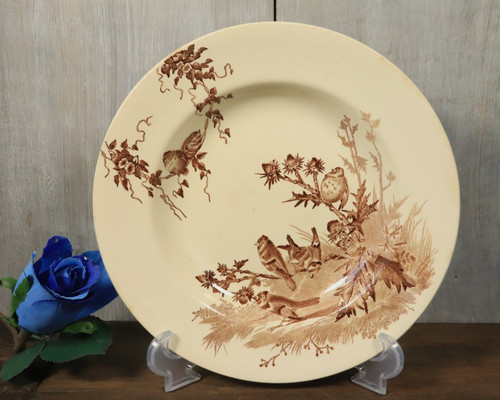 Assiette creuse ancien - creuse,