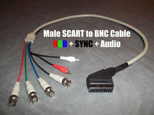Wookieewin male rgb scart - wookieewin,