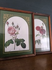Lot De Deux Cadres En Bois De Style Ancien Avec Rosier
