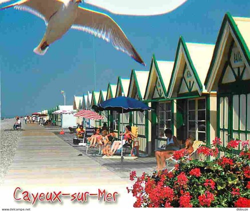 Carte postale cayeux - carte, 80