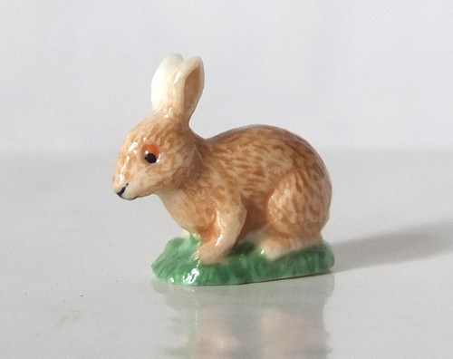 Feve lapin garenne - feve,