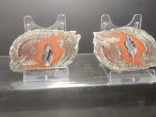 CRIS 6 O OLD STOCK PAIRE DE