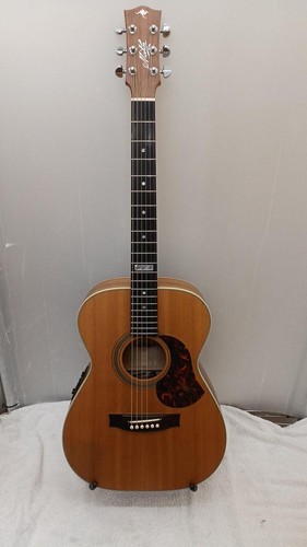 Guitare acoustique électrique