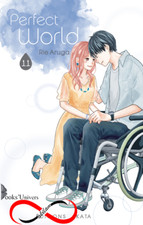 Perfect World - Tome 11