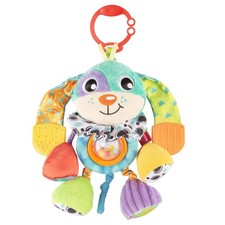 Activity Friend Doofy Dog