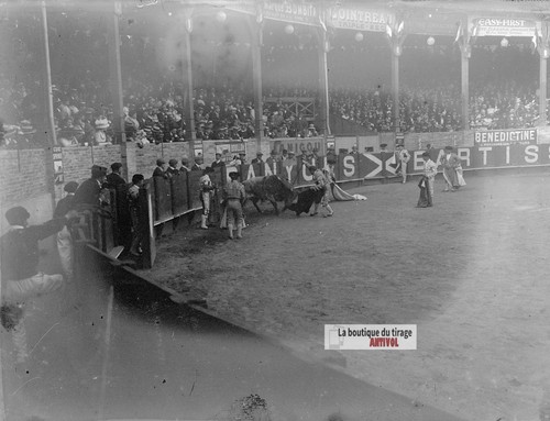 Corrida taureau arène - taureau,,