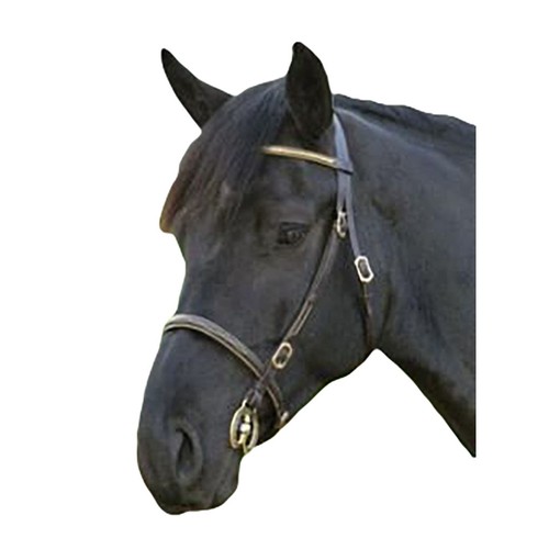 Blenheim bridon main - -,