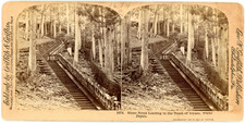 Stereo, Japan, stone steps leading to the tomb of Leyasu. Nikko Vintage stereo c