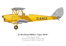 Print DH.82 Tiger Moth, G-AHIZ