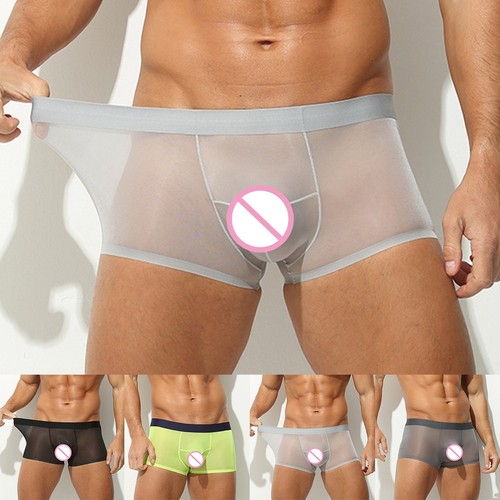 Boxer slip transparent léger