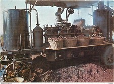 Vignes - Traditions - Les