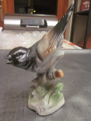 Karl enz dans genre - dans, oiseau
