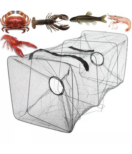 Fishing bait trap - fish, net