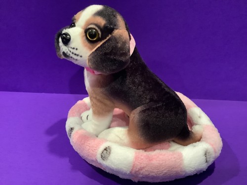 New beagle puppy - beagle, bed