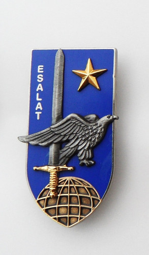 Broche insigne armée atlas - insigne,