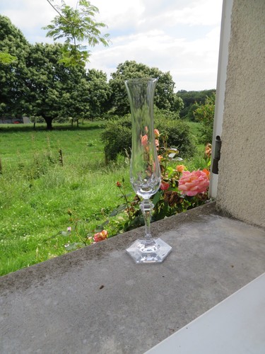 Vase soliflore cristal de - soliflore,