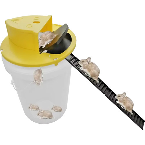 Piège souris intelligent - piège, à