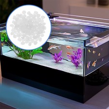  300 galets phosphorescents